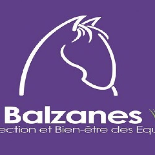 4 Balzanes 4 Balzanes
