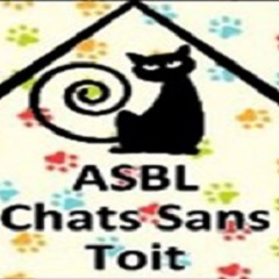 Chats Sans Toit Refuge Pour Animaux Animalweb
