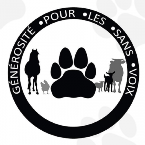 Générosité Pour Les Sans Voix Générosité Pour Les Sans Voix
