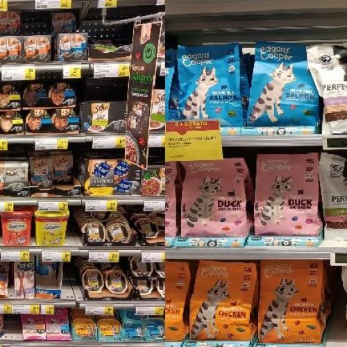 Différences entre la nourriture humide et la nourriture sèche pour chats Différences entre la nourriture humide et la nourriture sèche pour chats