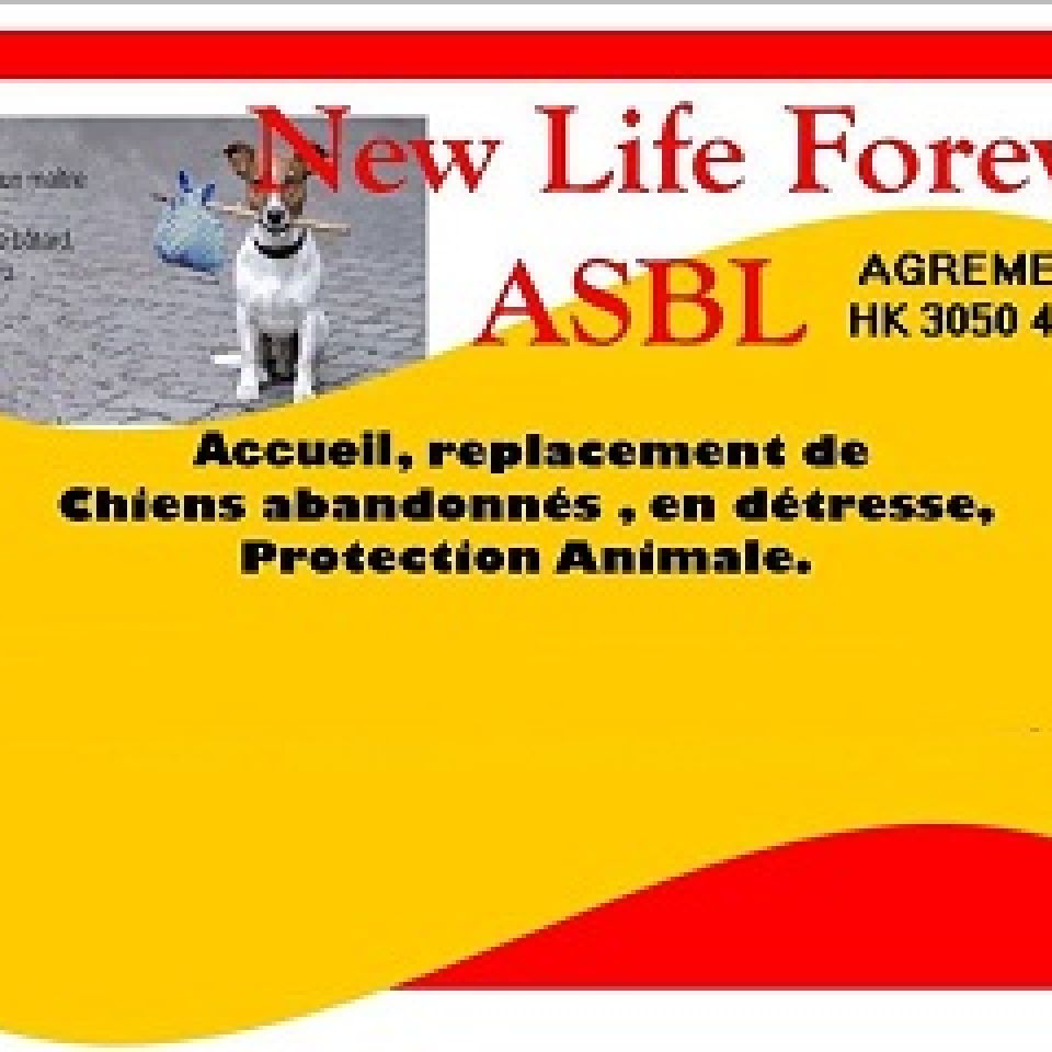 New Life Forever Refuge pour animaux AnimalWeb