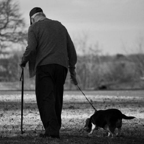 Adopter un chien ou un chat par une personne âgée Adopter un chien ou un chat par une personne âgée