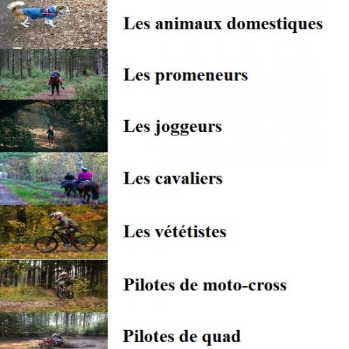 Les usagers des bois et forêts Les usagers des bois et forêts