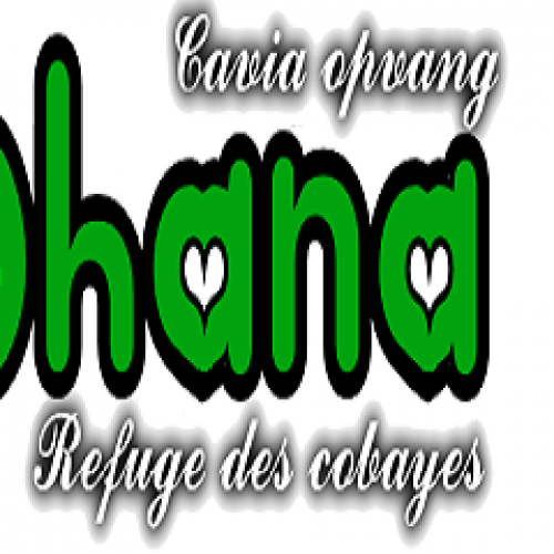 Caviaopvang Ohana Caviaopvang Ohana