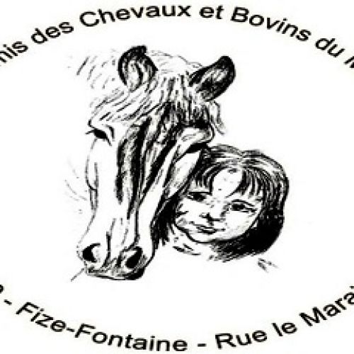 Les Amis des Chevaux et Bovins du Marais Les Amis des Chevaux et Bovins du Marais