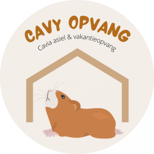 Cavy Opvang Cavy Opvang