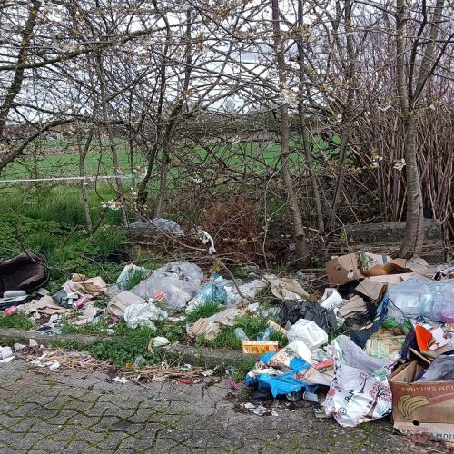 Agissons aujourd'hui contre les jets de déchets pour un environnement plus sain Agissons aujourd'hui contre les jets de déchets pour un environnement plus sain
