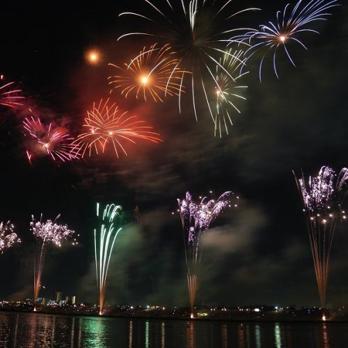 Guide pour protéger efficacement chats et chiens lors des feux d'artifice Guide pour protéger efficacement chats et chiens lors des feux d'artifice