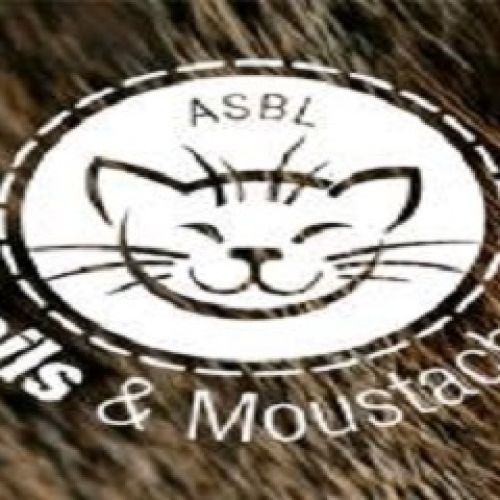 Poils et Moustaches Poils et Moustaches