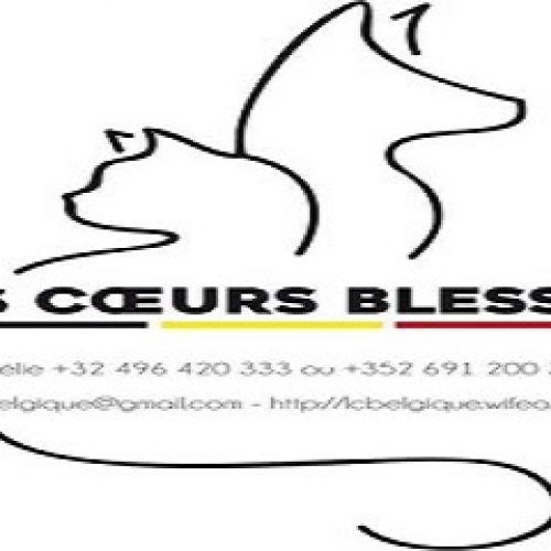 Les Coeurs blessés Les Coeurs blessés