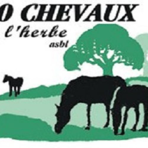 100 Chevaux sur l'herbe 100 Chevaux sur l'herbe