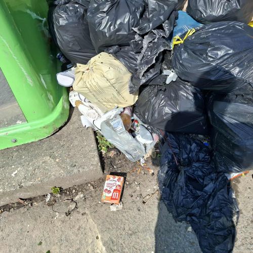 Dépôt sauvage de déchets ménagers et de sacs poubelles noirs et moka Dépôt sauvage de déchets ménagers et de sacs poubelles noirs et moka