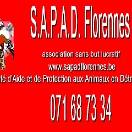 S.A.P.A.D. S.A.P.A.D.