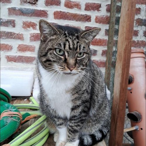 Disparue entre Boneffe (Eghezée) et CHR Namur Disparue entre Boneffe (Eghezée) et CHR Namur