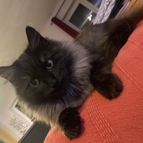 Perdu Maizy à Gérouville Perdu Maizy à Gérouville