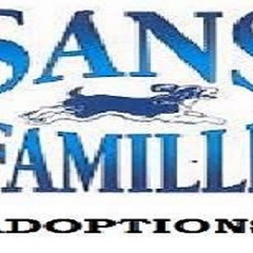 Sans Famille Sans Famille