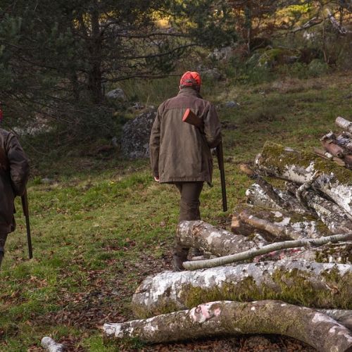 Deux chasseurs sont prêt d'un dépôt de bois dans une forêt
