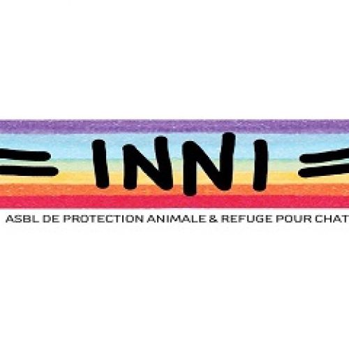 Inni Inni