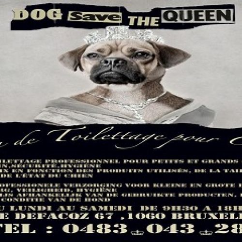 Dog Save the Queen Dog Save the Queen