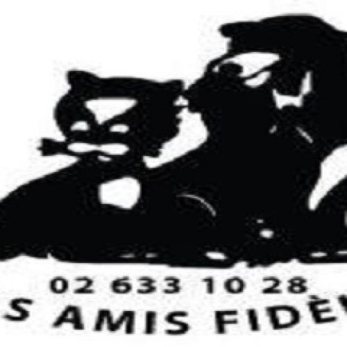 Nos Amis Fidèles Nos Amis Fidèles
