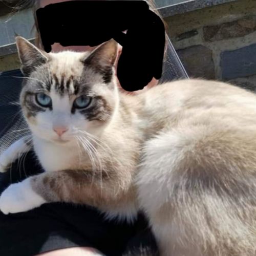 Miagi Miagi