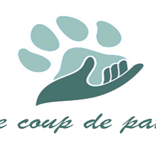 Le Coup de Patte Le Coup de Patte