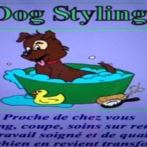 Dog Styling Dog Styling
