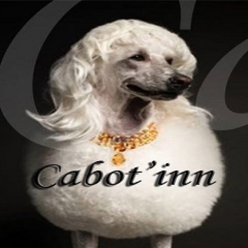 Cabot'Inn Cabot'Inn