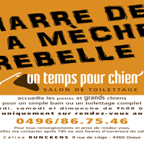 Un Temps pour Chien Un Temps pour Chien