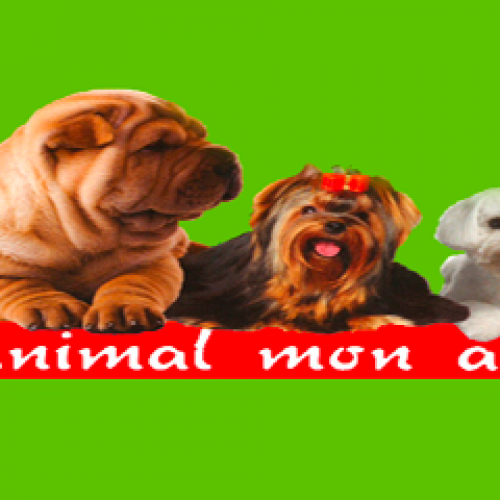 Animal Mon Ami Animal Mon Ami