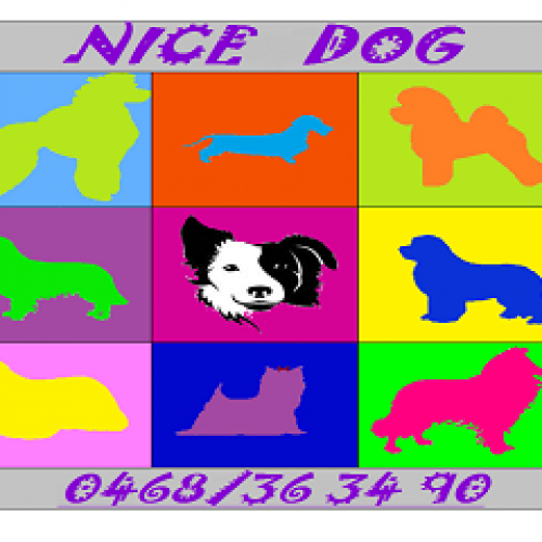 Nice Dog Nice Dog