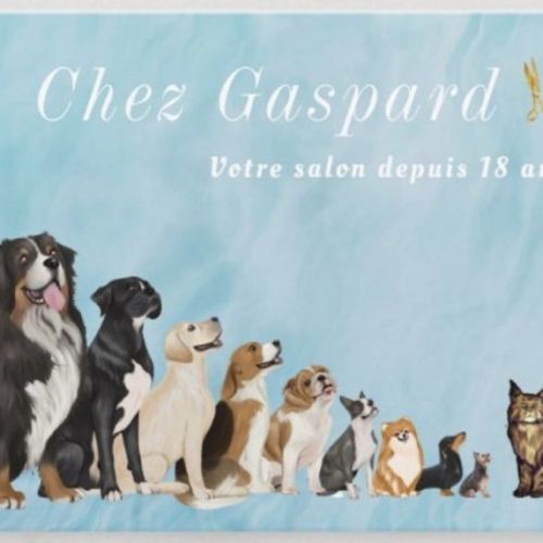 Logo Chez Gaspard- Salon de toilettage pour animaux Logo Chez Gaspard- Salon de toilettage pour animaux - AnimalWeb Belgiq