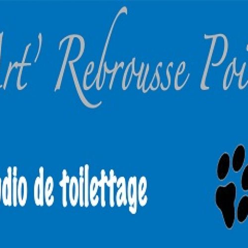 Art'Rebrousse Poil Art'Rebrousse Poil