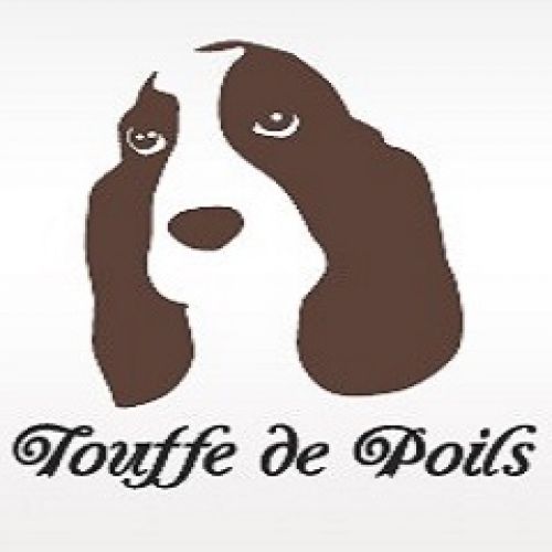 Touffe de Poils Touffe de Poils