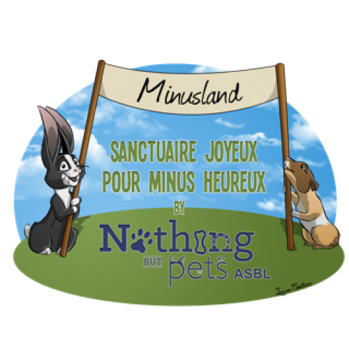 Nothing But Pets Nothing But Pets