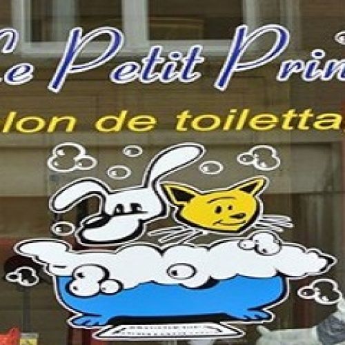 Le P'tit Prince Le P'tit Prince