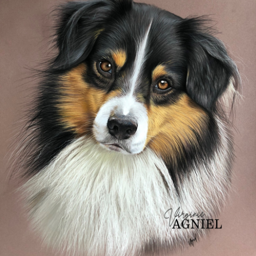 Les Pastels de Vir Les Pastels de Vir