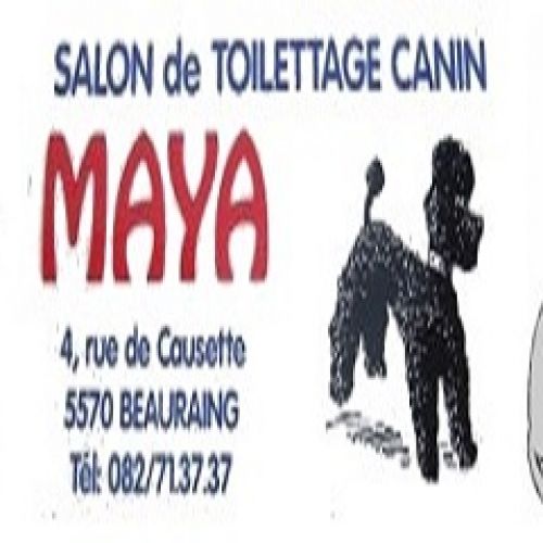 Maya Maya