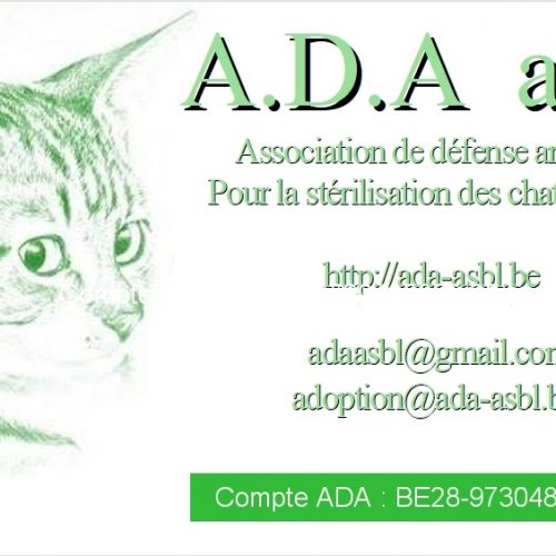 A.D.A. A.D.A.