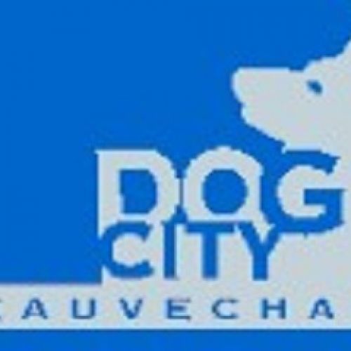 Dog City Dog City