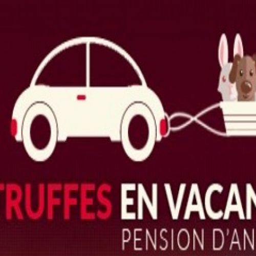 Les Truffes en Vacances Les Truffes en Vacances