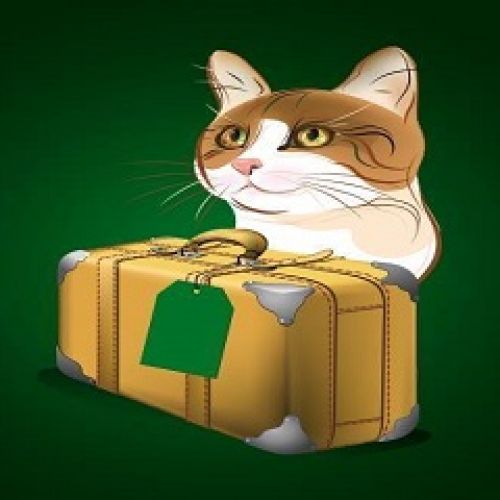 Les Petites Vacances Les Petites Vacances