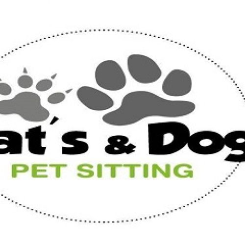 Cats and Dogs Sitting Cats and Dogs Sitting