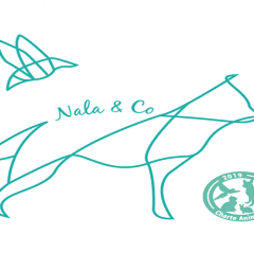 Nala and Co Nala and Co