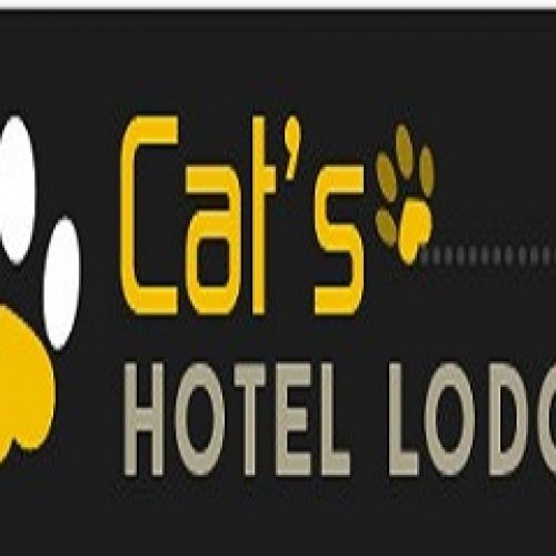 Cat's Hotel Lodge Cat's Hotel Lodge
