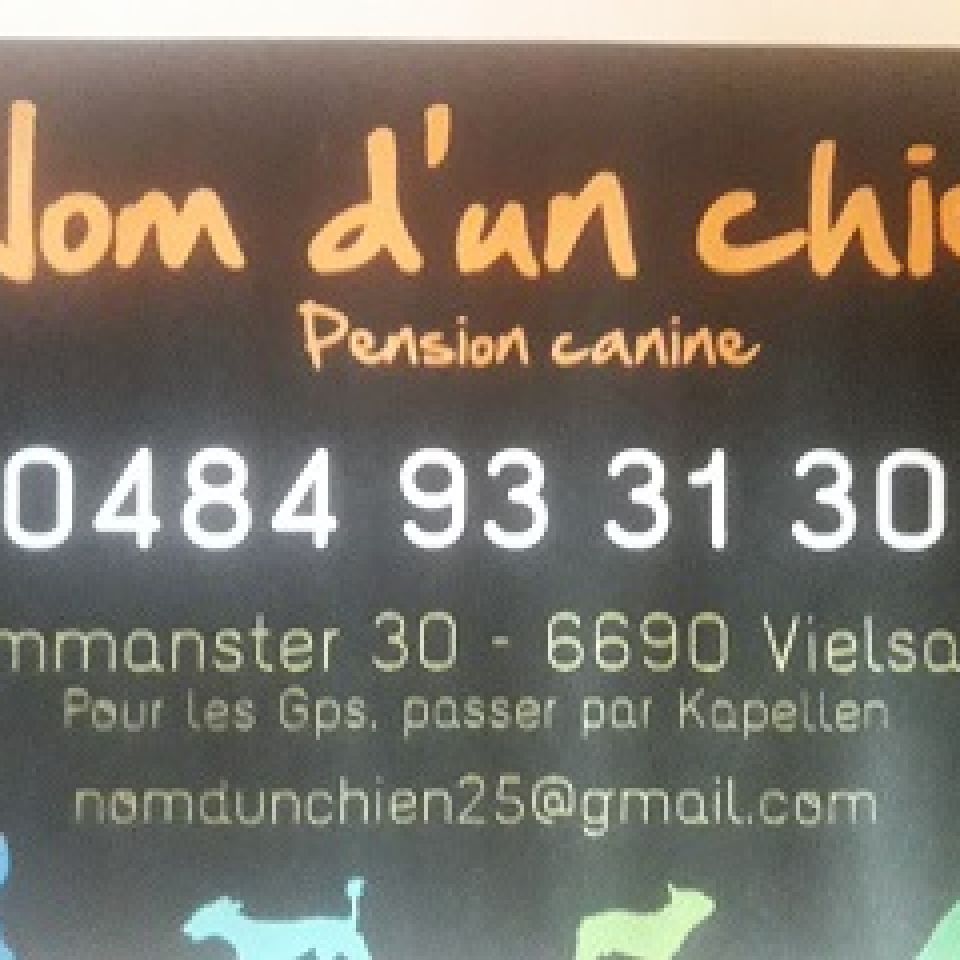 Nom du0027un Chien  Pension pour animaux  AnimalWeb