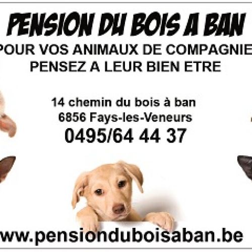 Du Bois à Ban Du Bois à Ban
