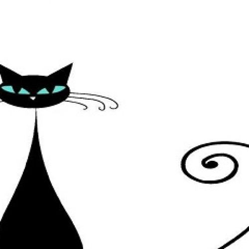Cat's Club Cat's Club