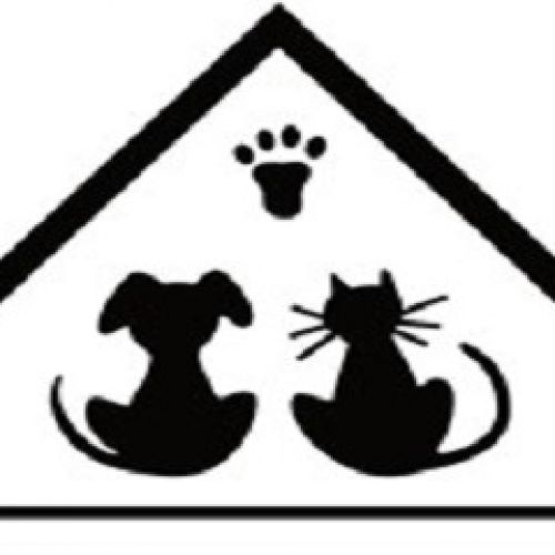 Dogs and Co Services Dogs and Co Services