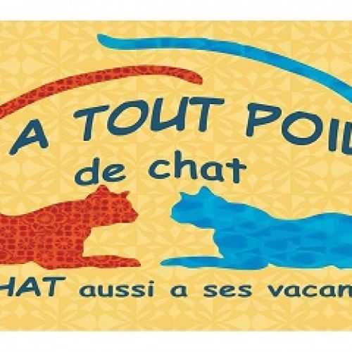 A Tout Poil de Chat A Tout Poil de Chat